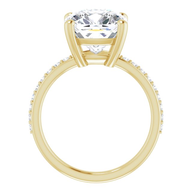 Cushion Ring Mounting